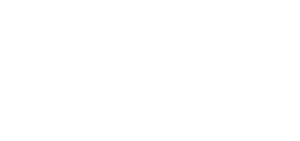 aladdin garage door logo